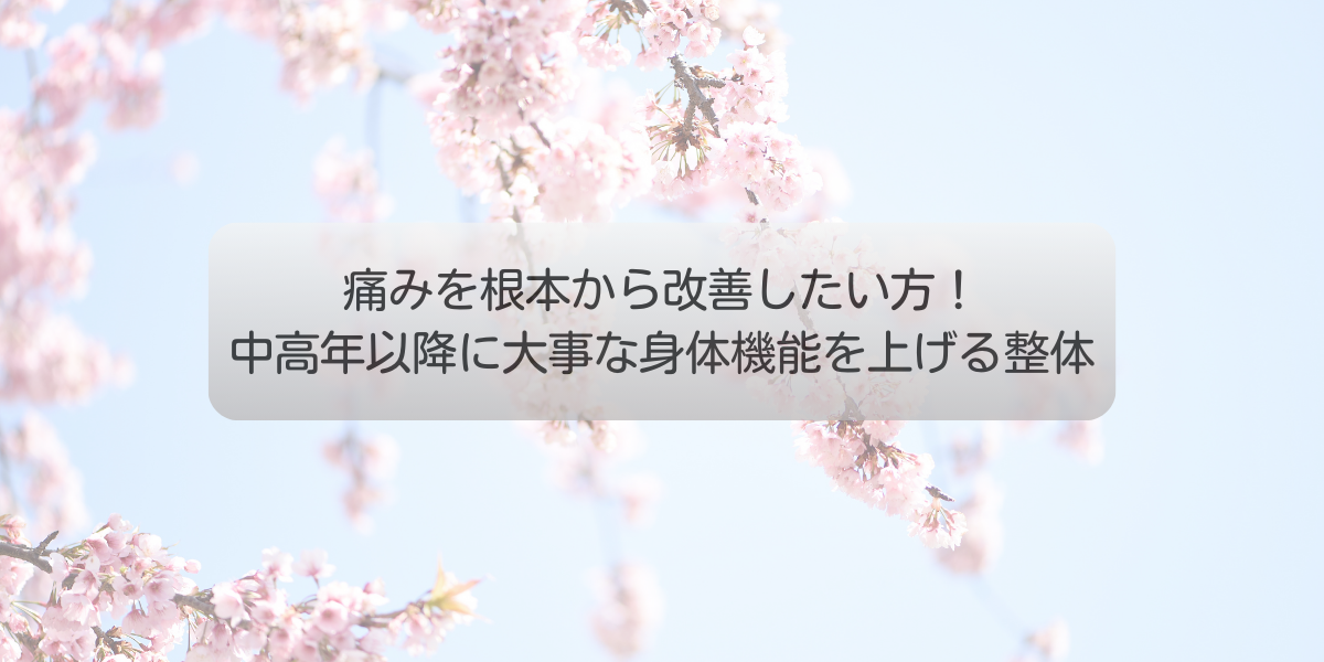 痛みを根本から改善したい方！中高年以降に大事な身体機能を上げる整体